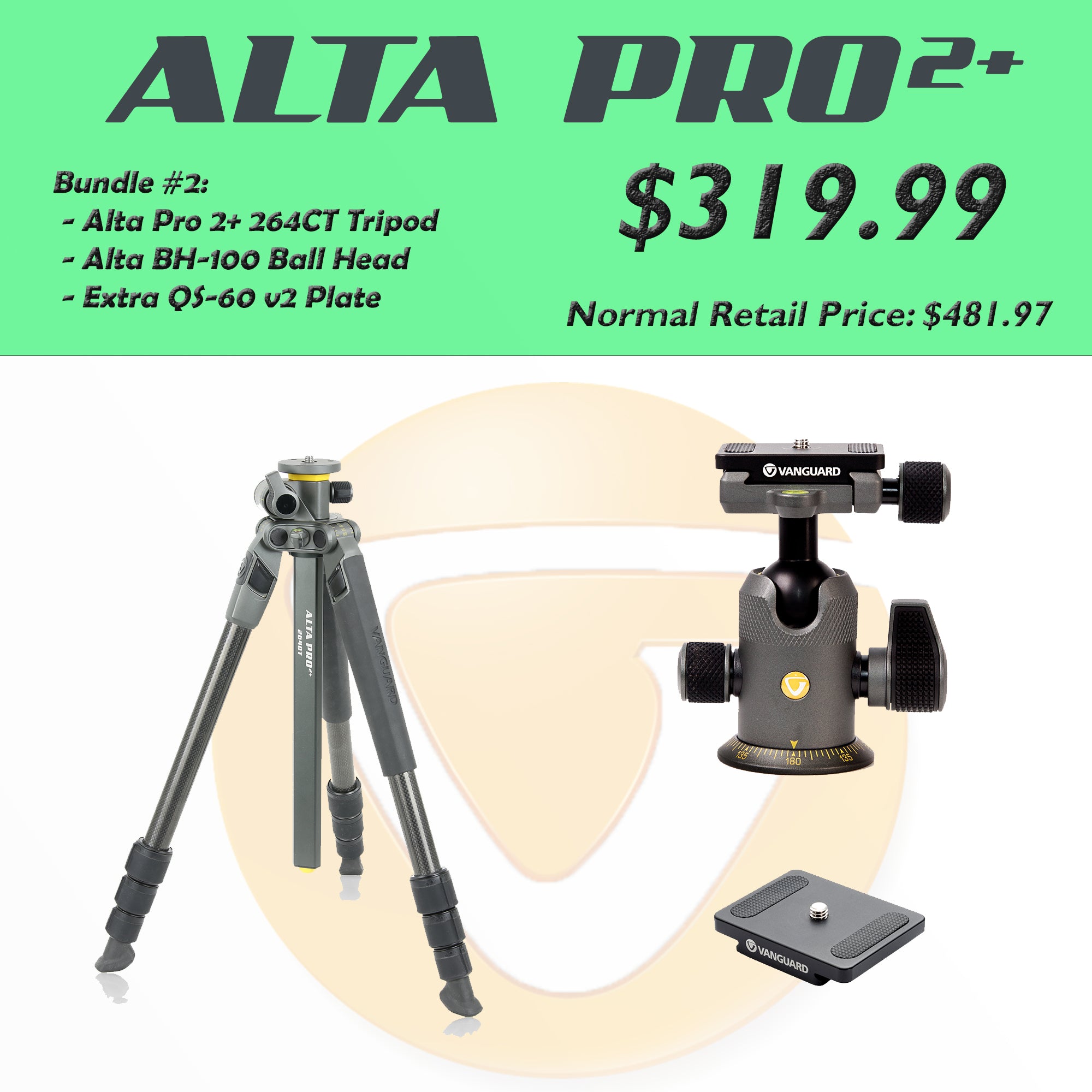 Alta Pro 2+ Bundle #2: - Alta Pro 2+ 264CT Tripod, Alta BH-100 Ball Head,  Extra QS-60 v2