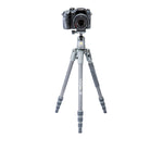 VEO 2S 204CB Carbon Travel Tripod/Monopod with Ball Head - Rated at 8.8lbs/4kg